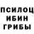 Галлюциногенные грибы Cubensis DWEAM