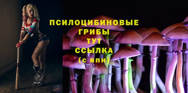 PSILOCYBIN Волосово