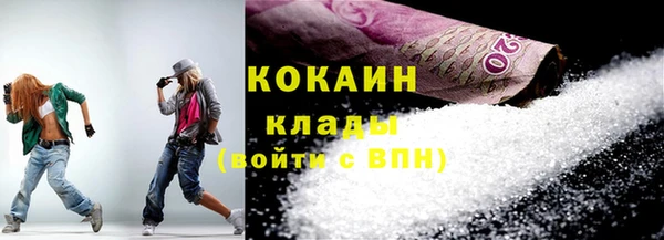 шишки Волоколамск