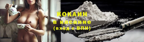 шишки Волоколамск