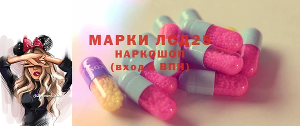 PSILOCYBIN Волосово