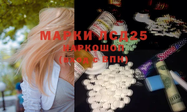 PSILOCYBIN Волосово