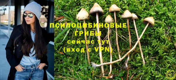 ГАЛЛЮЦИНОГЕННЫЕ ГРИБЫ Володарск