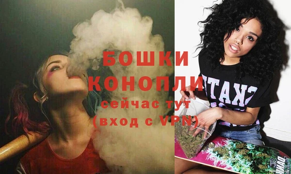 ГАЛЛЮЦИНОГЕННЫЕ ГРИБЫ Сосновый Бор