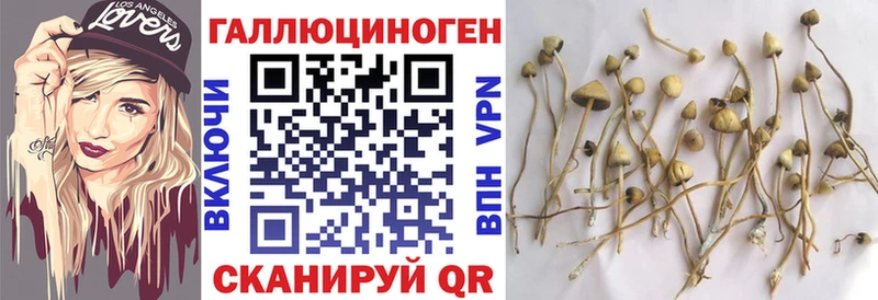 Галлюциногенные грибы мухоморы  Северск 